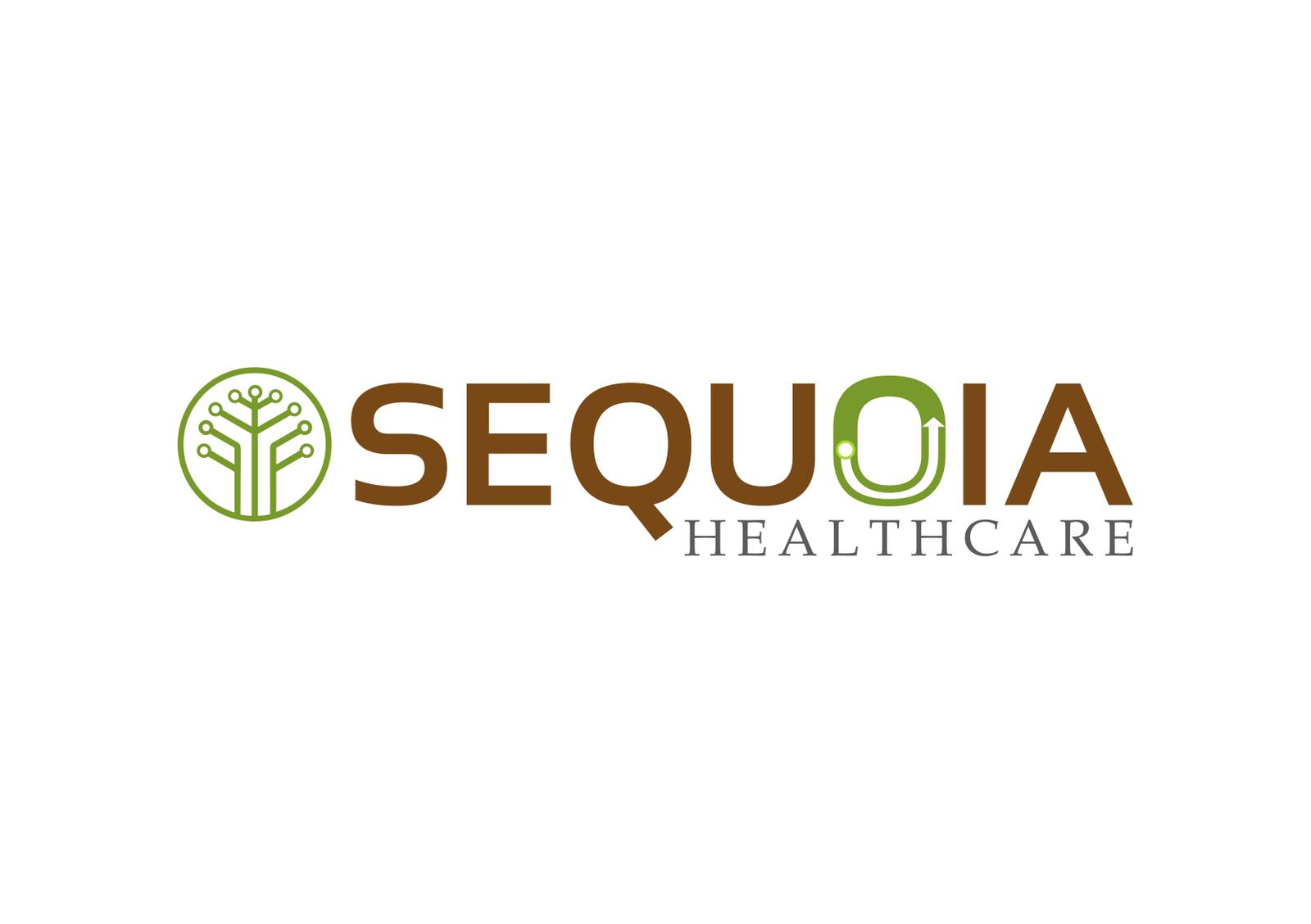 Sequoia